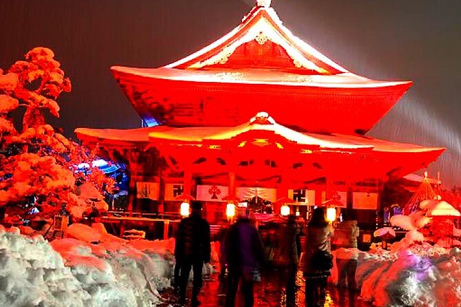 Private Snow Monkeys park Day Trip From Tokyo or Nagano - Price and value: is $800 per group worth it?