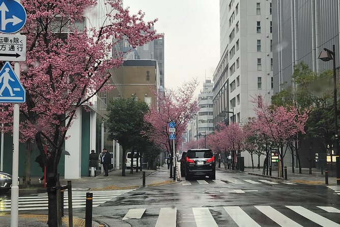 Private Tokyo City tour With English Speaking guide - Key Things You’ll Appreciate on This Private Tokyo Day