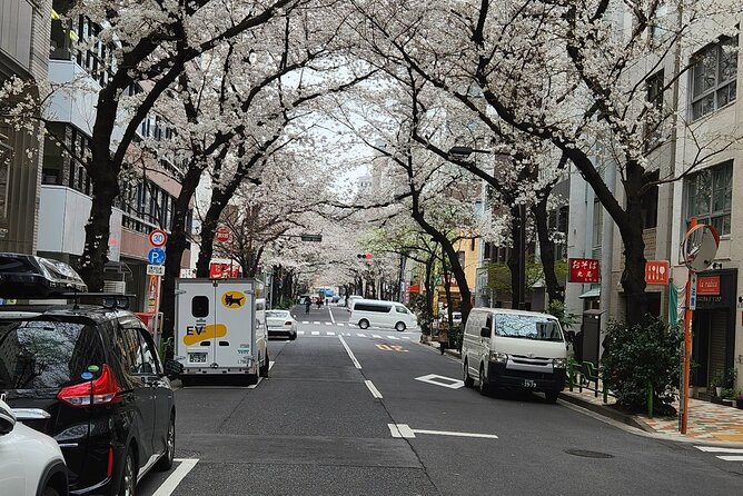 Private Tokyo City tour With English Speaking guide - The Money Question: Is $395 Good Value?