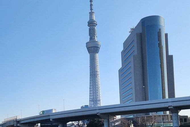 Private Tokyo City tour With English Speaking guide - Stop-by-Stop: What Each Highlight Feels Like