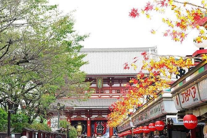 Private Tokyo Custom Full-Day Tour by Chartered Vehicle - Harajuku Station and Takeshita Street: Youth Culture in Close-Up