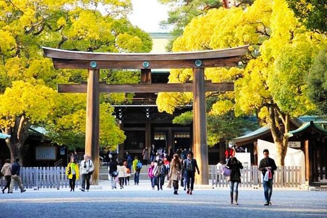 Private Tokyo Custom Half-Day Tour by Chartered Vehicle - Asakusa and Sensoji: old Tokyo plus a walk you’ll remember