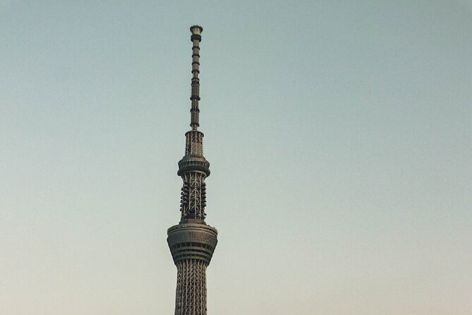 Private Tokyo Day-Tour by Car with English Speaking Guide. - Entering Tokyo’s highlights by private car