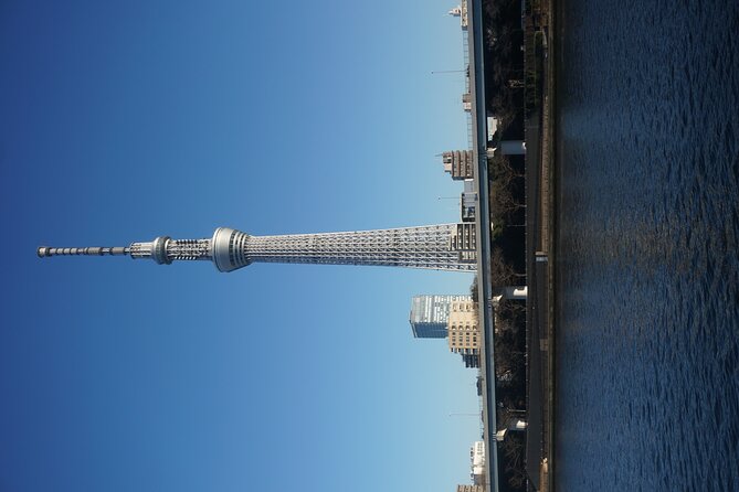Private Tokyo Day-Tour by Car with English Speaking Guide. - Tokyo Tower: lunch options plus a classic skyline