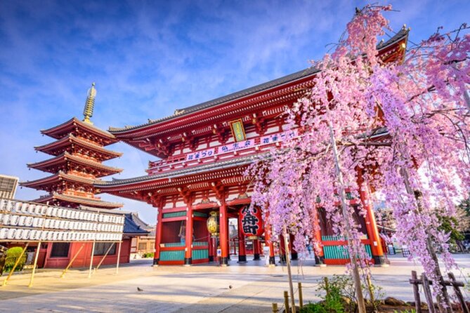 Private Tokyo Tour with English Speaking Guide - Tokyo in One Walk: what this private route gets right