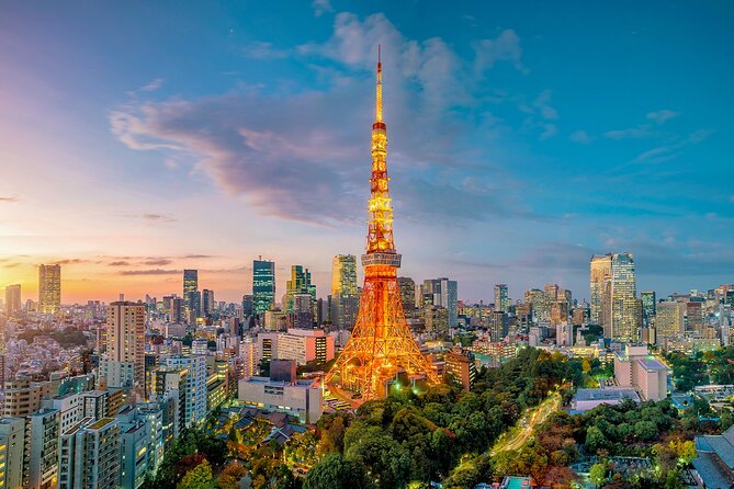 Private Tokyo Tour with English Speaking Guide - Shibuya Crossing to Harajuku Station: neon chaos, then fashion cues
