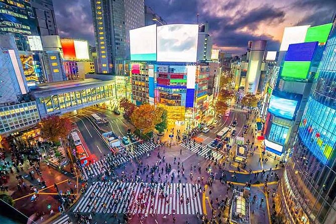 Private Tokyo Tour with English Speaking Guide - Price and Logistics: what you pay for, what you cover