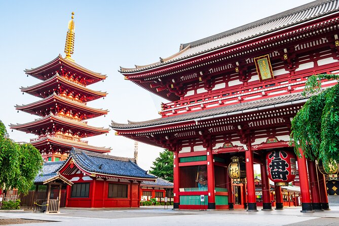 Private Tokyo Tour with Licensed Guide & Vehicle (Max 15 persons) - How the 6-Hour Day Works: Short Stops, Smart Time