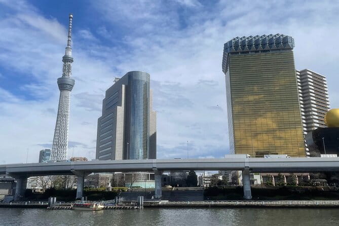 Private Tokyo Tour with Local Guide - Why This Private Tokyo Tour Works for First-Time Visitors