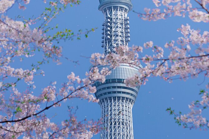 Private Tour by Car in Tokyo - What Makes the Chauffeur a Hit or a Miss