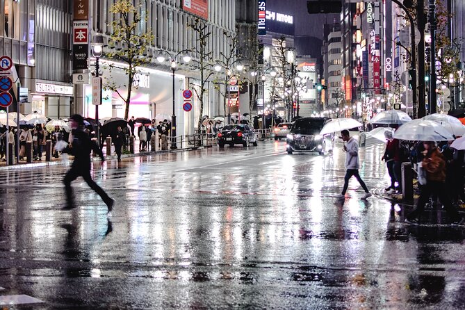 Private Tour by Car in Tokyo - Who Should Book This Tokyo Private Car Tour