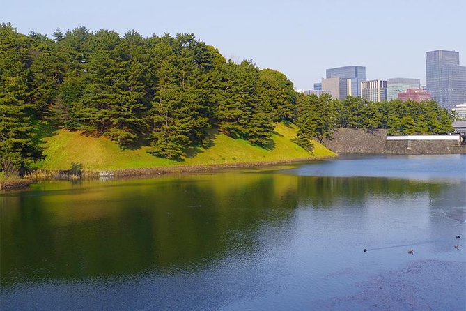 Private Tour - History, Art and Nature at the Imperial Palace - National Museum of Modern Art (MOMAT) Inside the Palace Zone