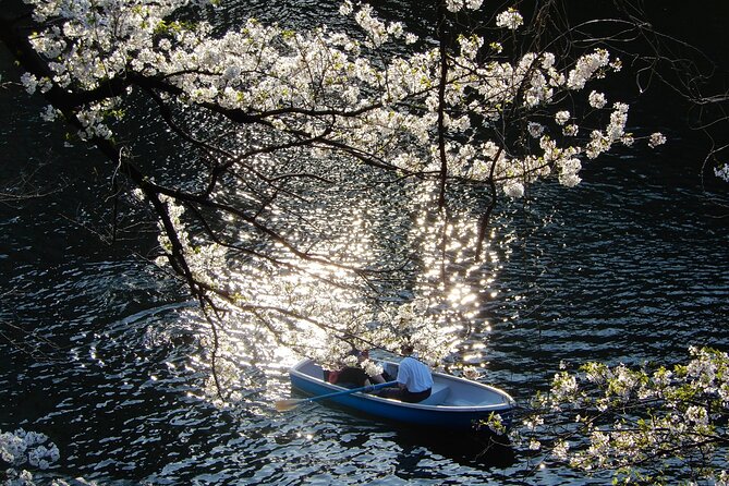 Private Tour - History, Art and Nature at the Imperial Palace - Kitanomaru Park: Open Lawn, Quiet Edges, Easy Reset