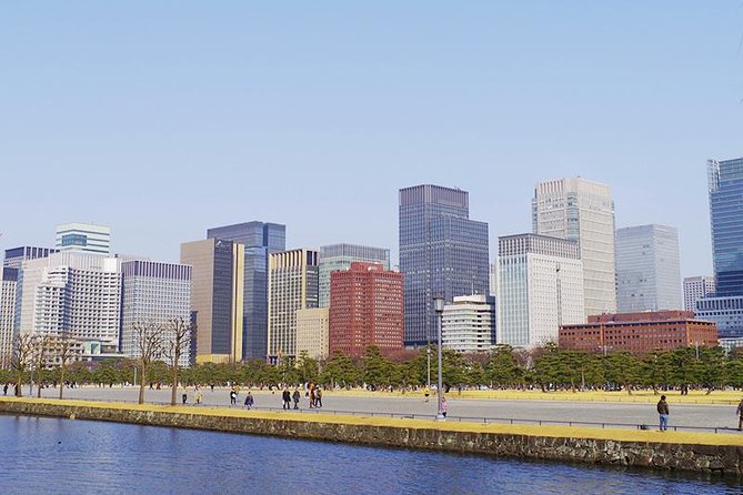 Private Tour - History, Art and Nature at the Imperial Palace - Café 33 in Kitanomaru Park: A Real Break in the Imperial Greens