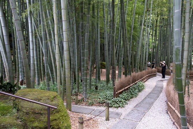 Private Tour in Kamakura: Matcha Tea Tasting & Photo Session - Meeting at JR Kamakura Station and keeping the timing simple