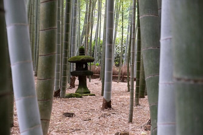 Private Tour in Kamakura: Matcha Tea Tasting & Photo Session - The photographer factor: Bruno’s approach to planning and posing