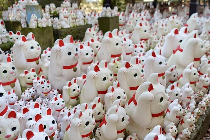 Private Tour - Thousands of lucky cats! Go by tram, Gotokuji Tour - Key things that make this tour worth your time