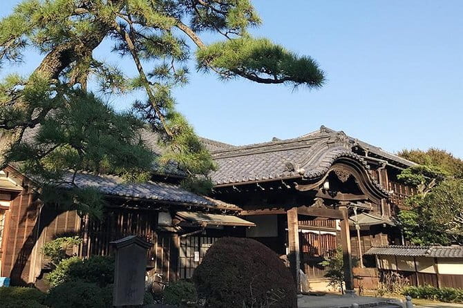 Private Tour - Thousands of lucky cats! Go by tram, Gotokuji Tour - Who This Tour Suits Best