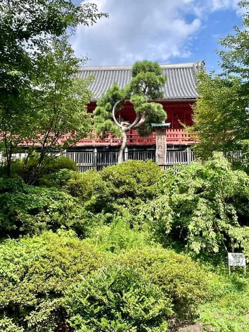 Private Tour Through the Tokyo National Museum & Ukiyo-e - Ueno Hill, Kaneiji Temple, and the Edo-to-Meiji story arc