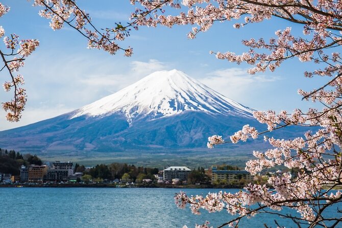 Private tour to Mount Fuji and Hakone from Tokyo - Key things that make this private Fuji/Hakone day work