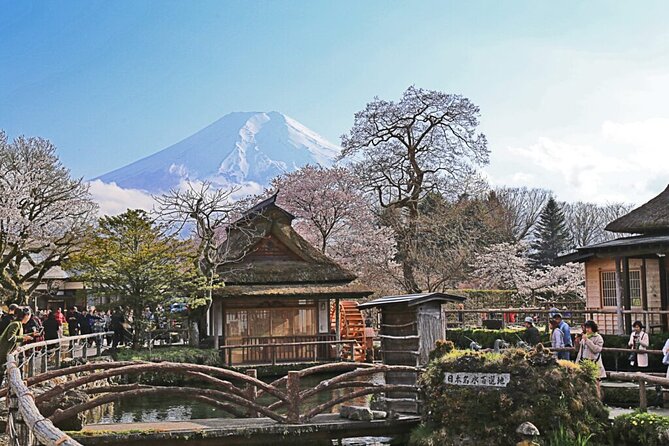 Private tour to Mount Fuji and Hakone from Tokyo - Chureito Pagoda: The Postcard Frame With Cherry Blossoms or Autumn Leaves