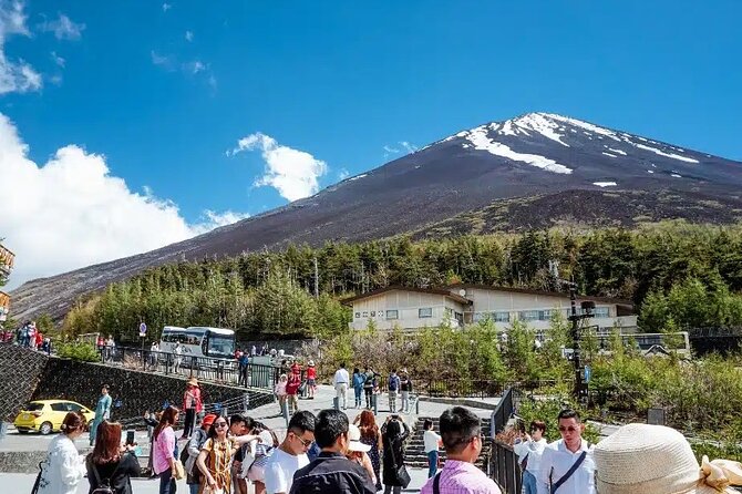 Private tour to Mount Fuji and Hakone from Tokyo - Kitaguchi Hongu Fuji Sengen Jinja: Cedar Trees and Pilgrim Energy