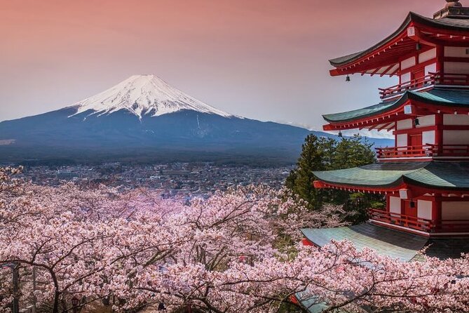 Private tour to Mount Fuji and Hakone from Tokyo - Choosing the Route: First 6 Stops for Mount Fuji or Last 5 for Hakone