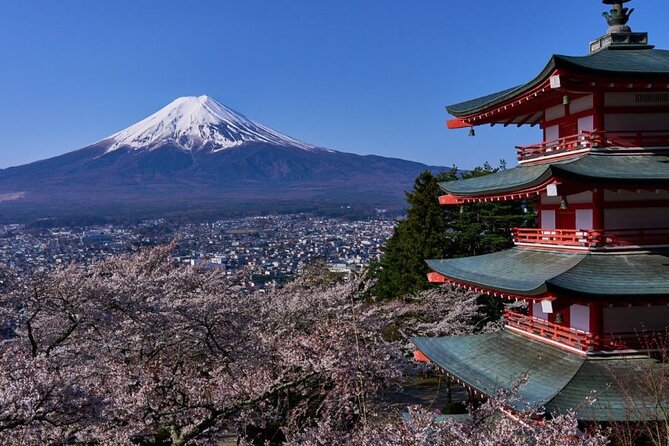 Private tour to Mount Fuji with an English driver from Tokyo - Key highlights to look forward to