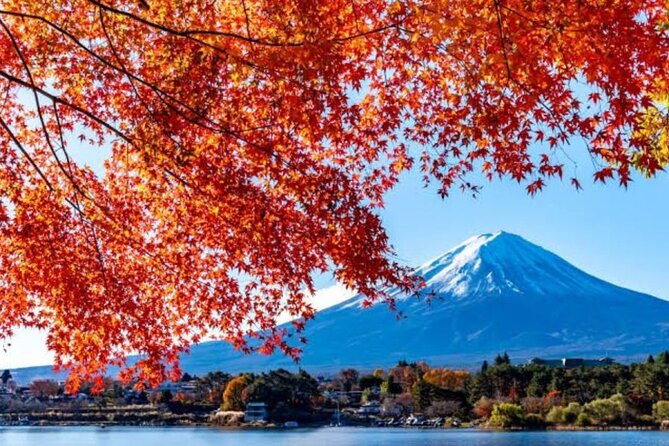 Private tour to Mount Fuji with an English driver from Tokyo - Stop 1: Mt. Fuji 5th Station and the view that does the talking
