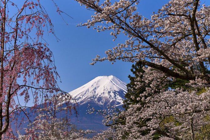 Private tour to Mount Fuji with an English driver from Tokyo - Stop 2: Oshino Hakkai for pond scenery and traditional charm