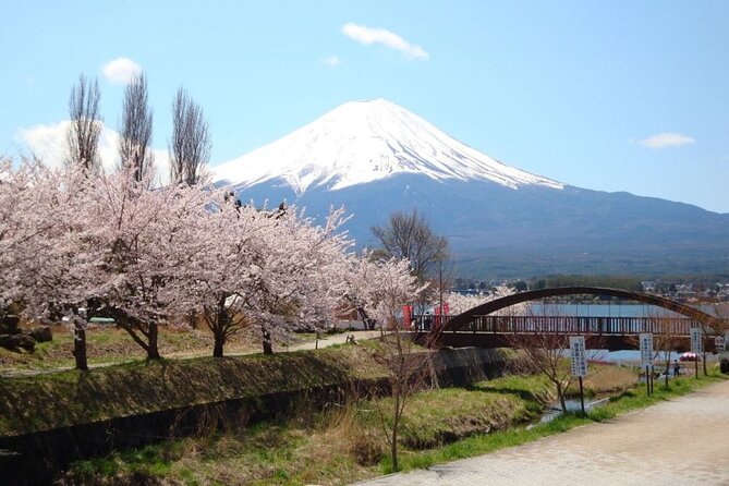 Private tour to Mount Fuji with an English driver from Tokyo - Stop 3: Oishi Park and Kawaguchiko views you can actually frame