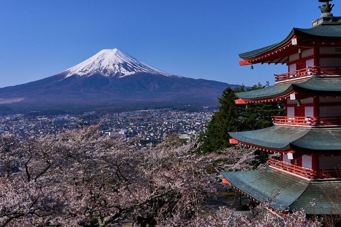 Private tour to Mount Fuji with an English driver from Tokyo - The 9–10 hour day: how the rhythm works (and how to enjoy it)