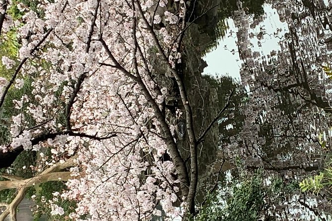 Private Tour to Mt. Fuji and Hakone (Fully Licenced Operator) - Lake Kawaguchiko: Fuji reflections and easy scenic time