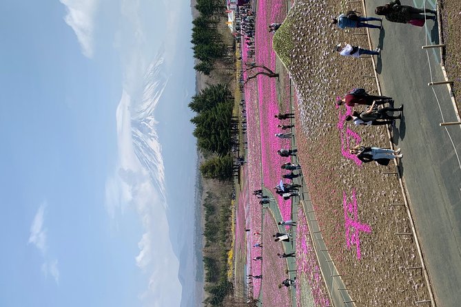 Private Tour to Mt. Fuji and Hakone (Fully Licenced Operator) - Shrines and Arakurayama steps: Fuji Sengen Jinja and the pagoda walk