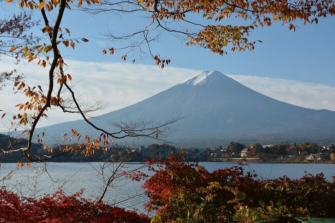 Private Tour to Mt Fuji and Hakone with English Speaking Driver - Private Fuji and Hakone: why a driver beats DIY