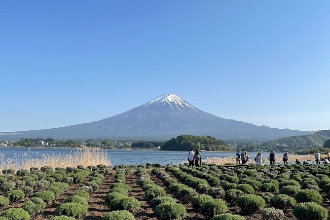 Private Tour to Mt Fuji and Hakone with English Speaking Driver - Owakudani station: Hakone’s volcanic show (and the black eggs)