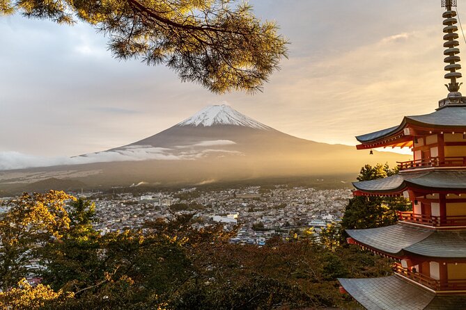 Private Tour to Mt Fuji and Hakone with English Speaking Driver - Oshino Hakkai: spring ponds at the foot of Fuji