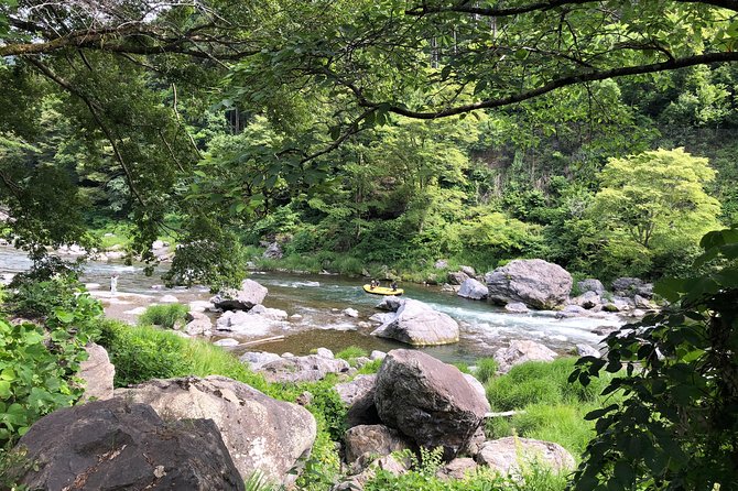 Private Tour: Tokyo's Oldest Sake Brewery and Riverside Walk - Price and value at $229.95 per person