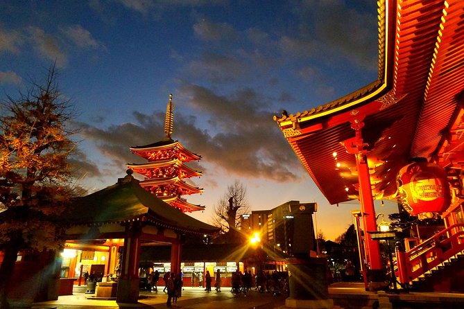 Private tour Tokyo - The Harmony of Modernity and Tradition - Key things to know before you go