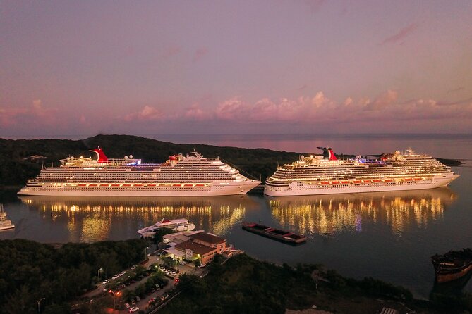 Private Transfer from Yokohama Cruise Port to Tokyo - Key Points You’ll Care About