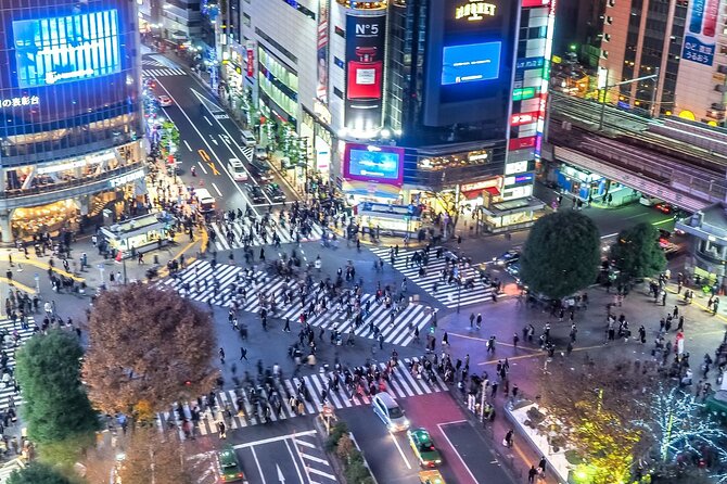 Real Anime Culture Tour in Shibuya: Food, Shopping & Game Fun - Price and logistics: what $75 actually buys you