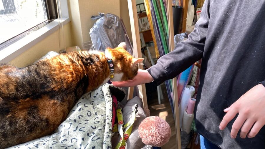Romantic Mizuhiki Knot and Omikuji Washi Charm Workshop Ueno - The Cat Moment and the Quiet Craft Atmosphere