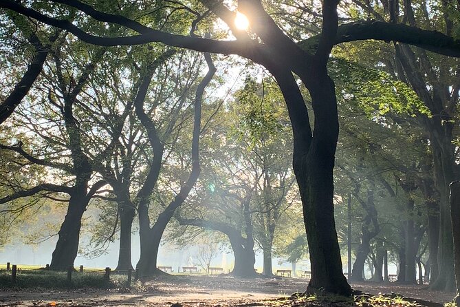 Sacred Morning Walk and Brunch Meiji Shrine - Price and value: what you’re paying for at $32.58