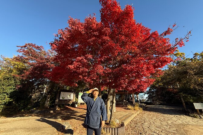 Samurai Guide Sho’s Mt. Takao Hike, Temple & Onsen from Shinjuku - From Shinjuku Station Maze to “Next Train” Confidence
