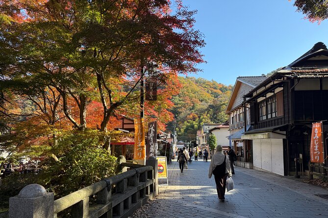 Samurai Guide Sho’s Mt. Takao Hike, Temple & Onsen from Shinjuku - Weather and crowds: how your day gets adjusted