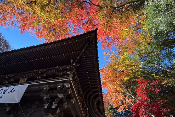 Samurai Guide Sho’s Mt. Takao Hike, Temple & Onsen from Shinjuku - The Waterfall Training Path: What the 1.5-Hour Climb Feels Like