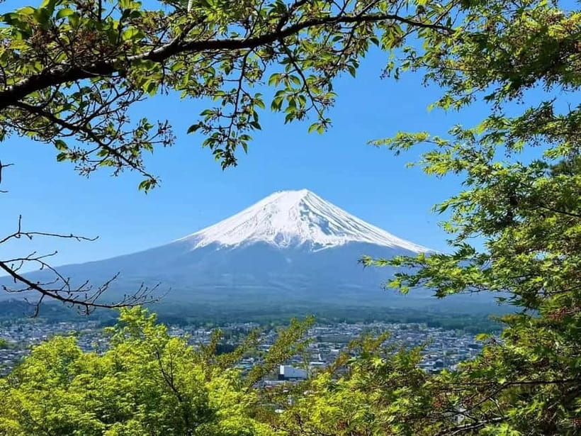 [Seasonal Limited] Mt. Fuji 5th Station &Hot Spring Day Tour - Shintaku-yama Asama Park: The Classic Pagoda + Fuji Photo