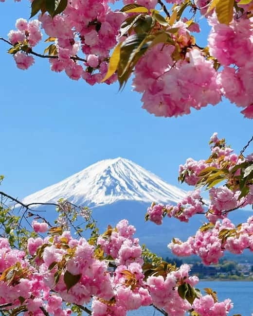 [Seasonal Limited] Mt. Fuji 5th Station &Hot Spring Day Tour - Konohananoyu Onsen: Real Relaxation With Fuji in Sight