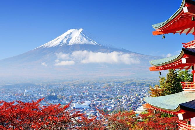 Seasonal Mt. Fuji Scenic Views, Fruit Picking and Ropeway Ride! - Oishi Park seasonal photo stops: walking views, not just a single lookout