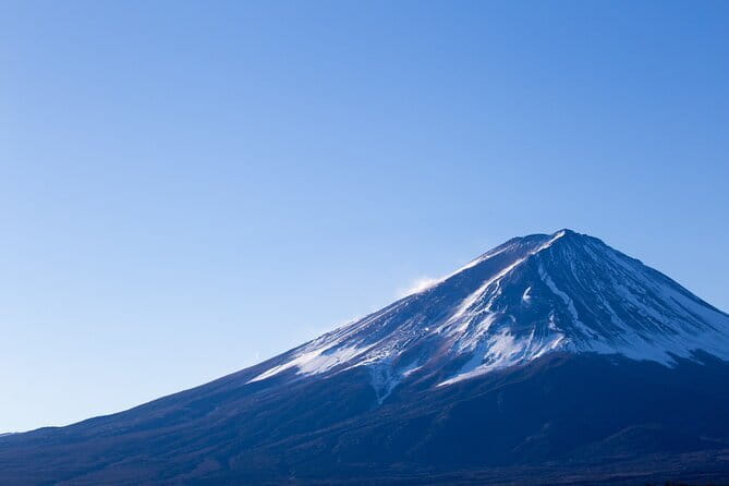 Seasonal Mt. Fuji Scenic Views, Fruit Picking and Ropeway Ride! - Lake Kawaguchiko Ropeway: the birds-eye view people remember